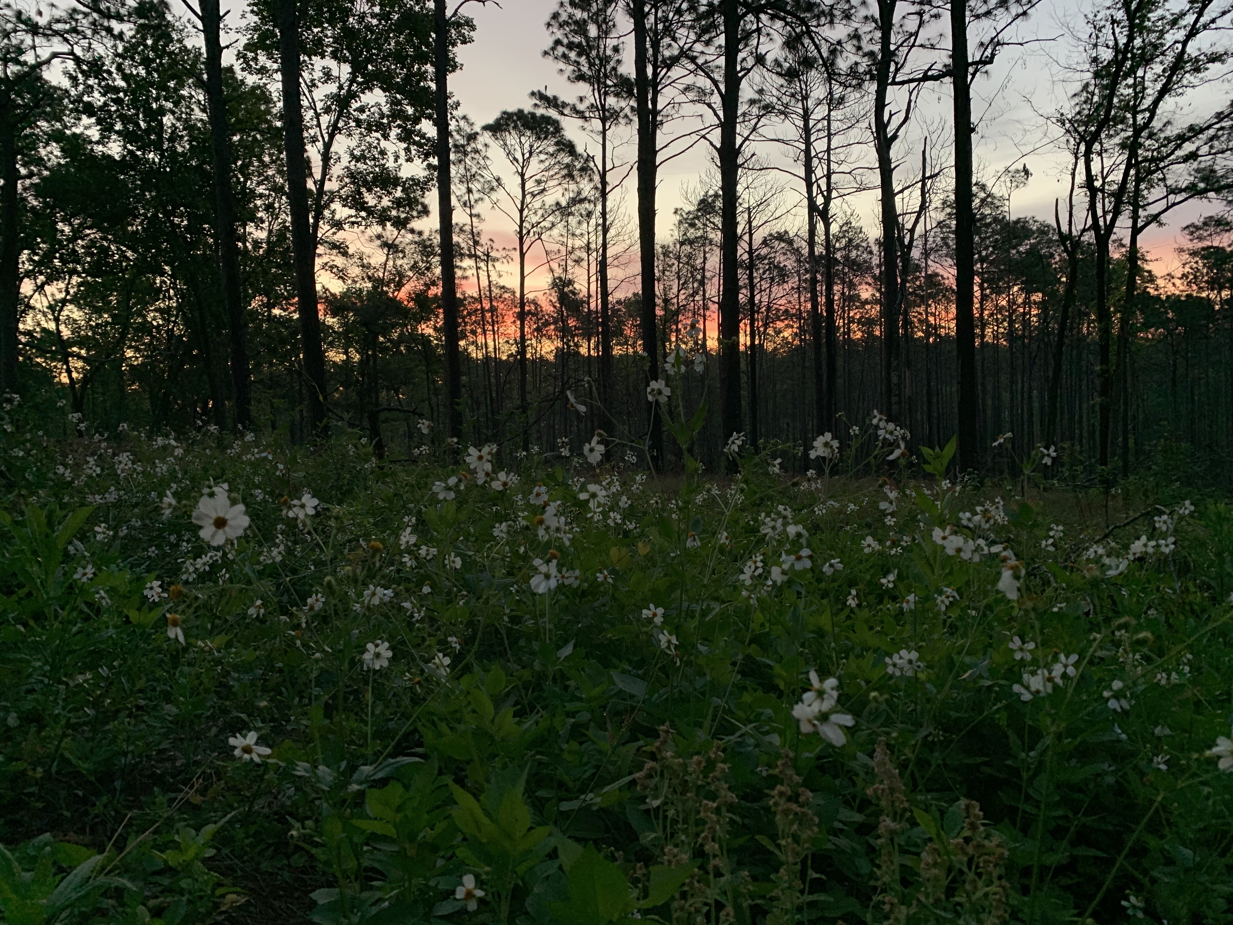April 2019 Parks on the Air adventure Day 3