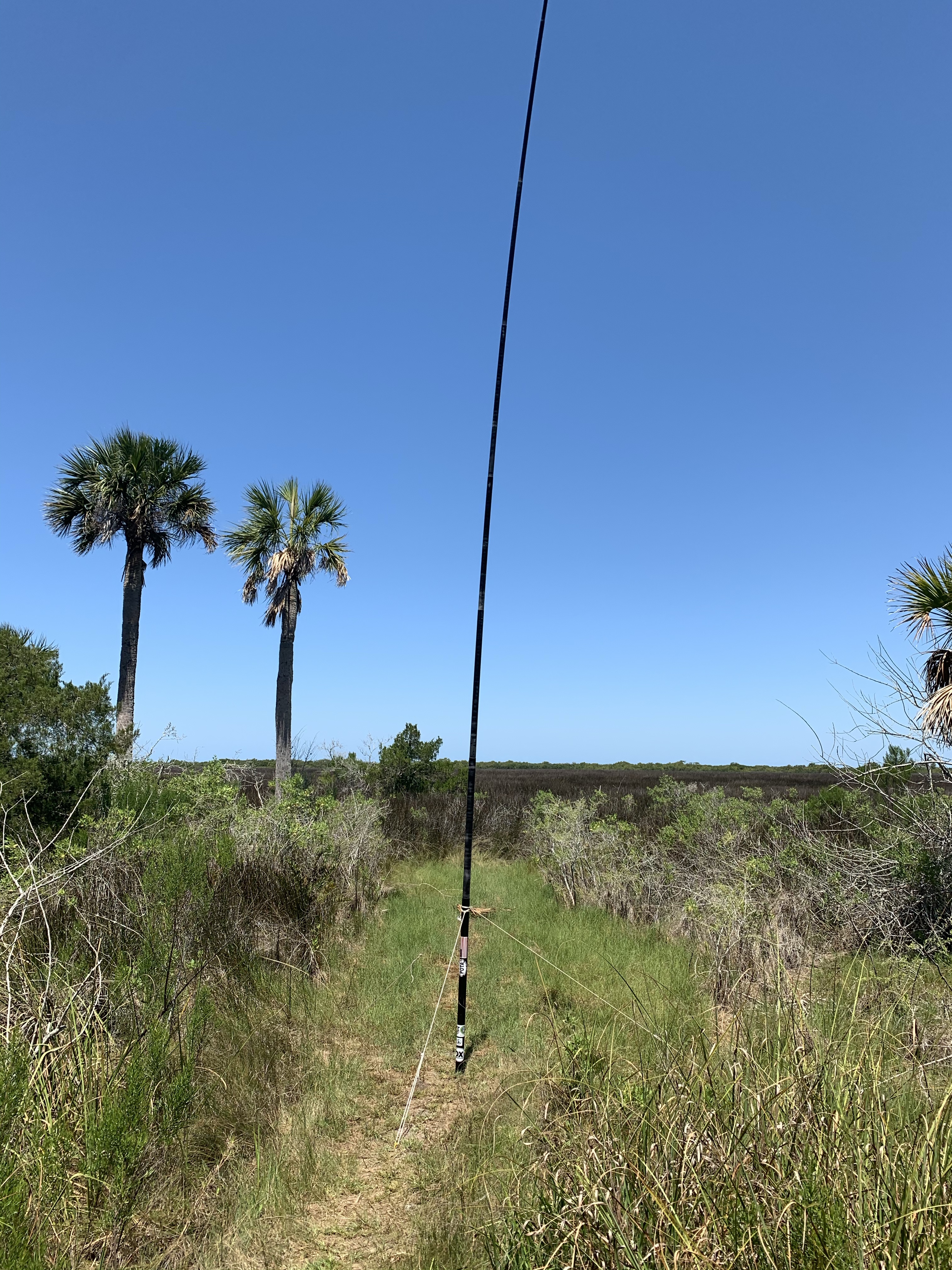 POTA K-1928 Werner-Boyce Salt Springs State Park