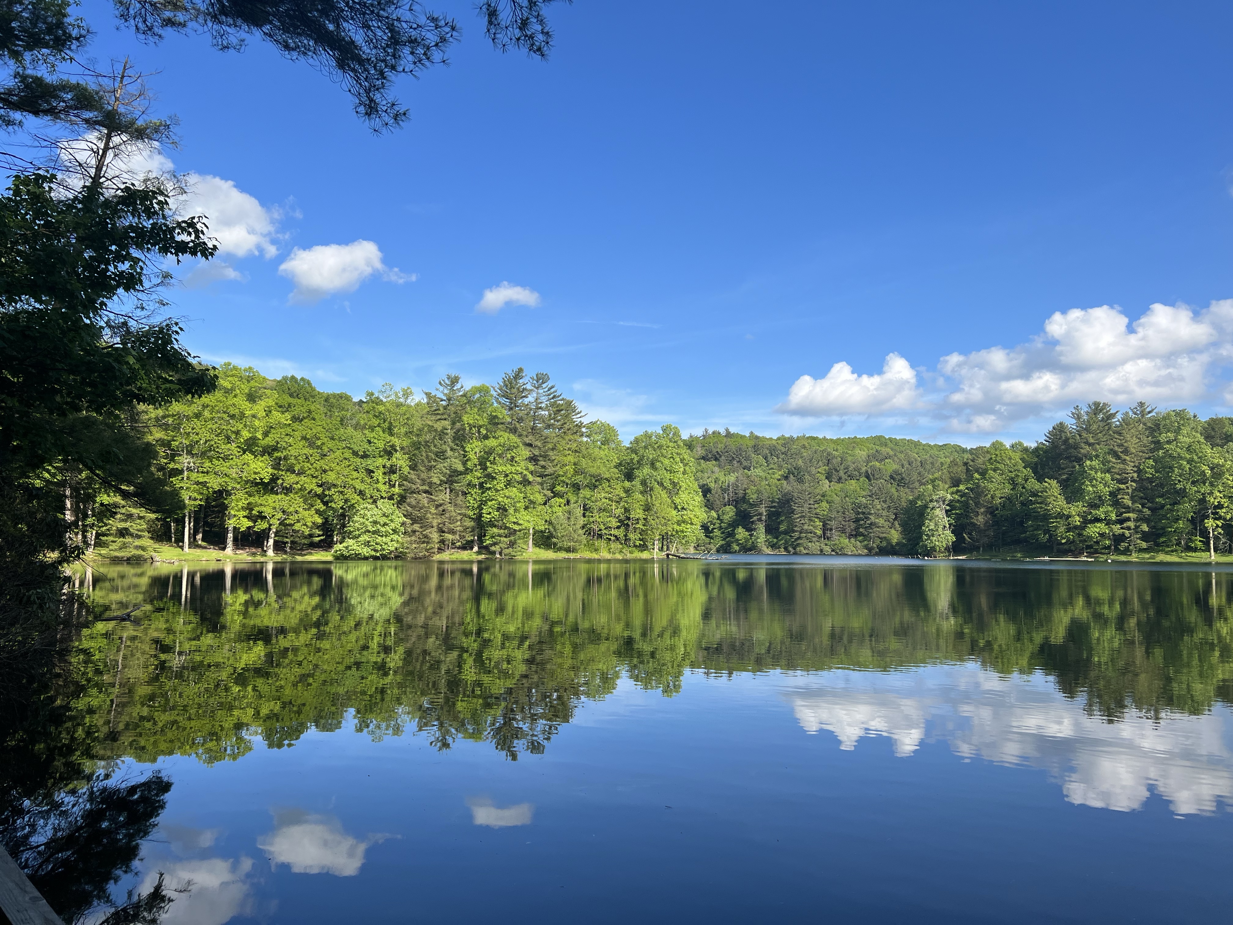 K-4473 Chattahoochee National Forest - Lake Conasauga