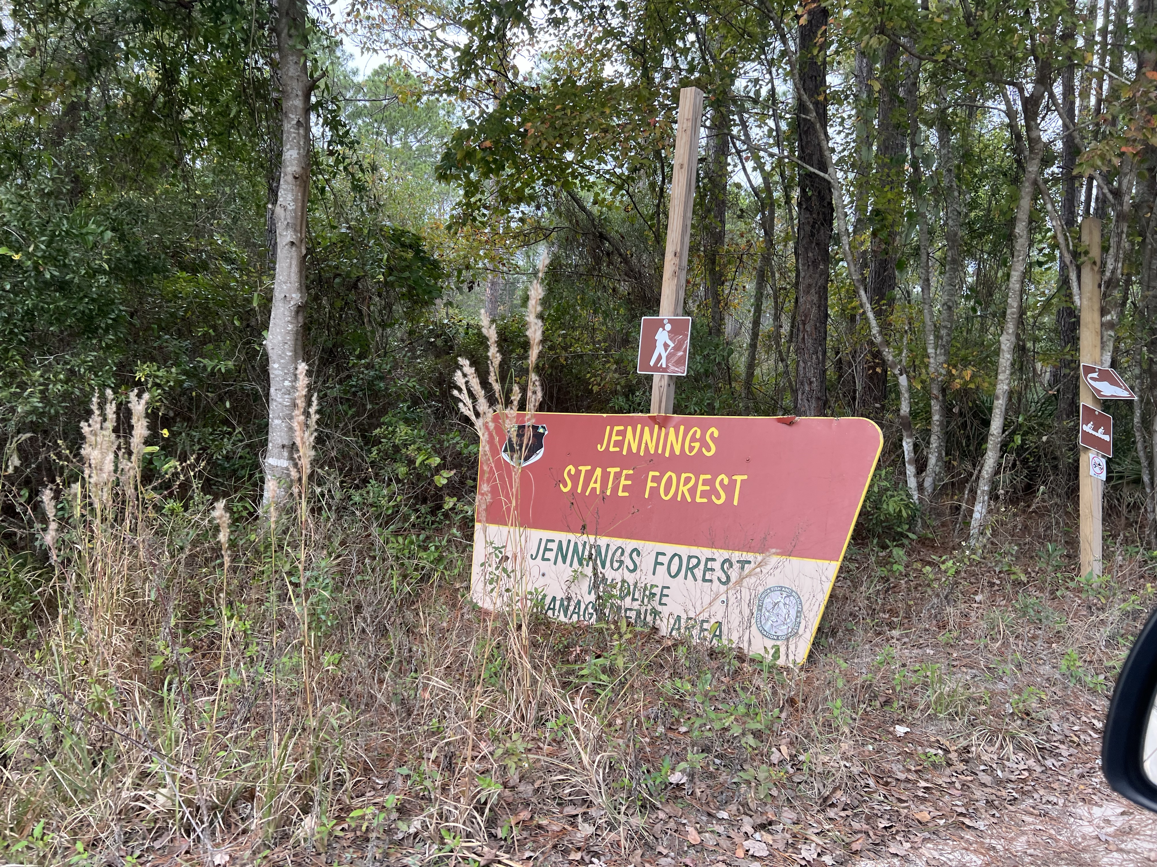K-4625 Jennings State Forest