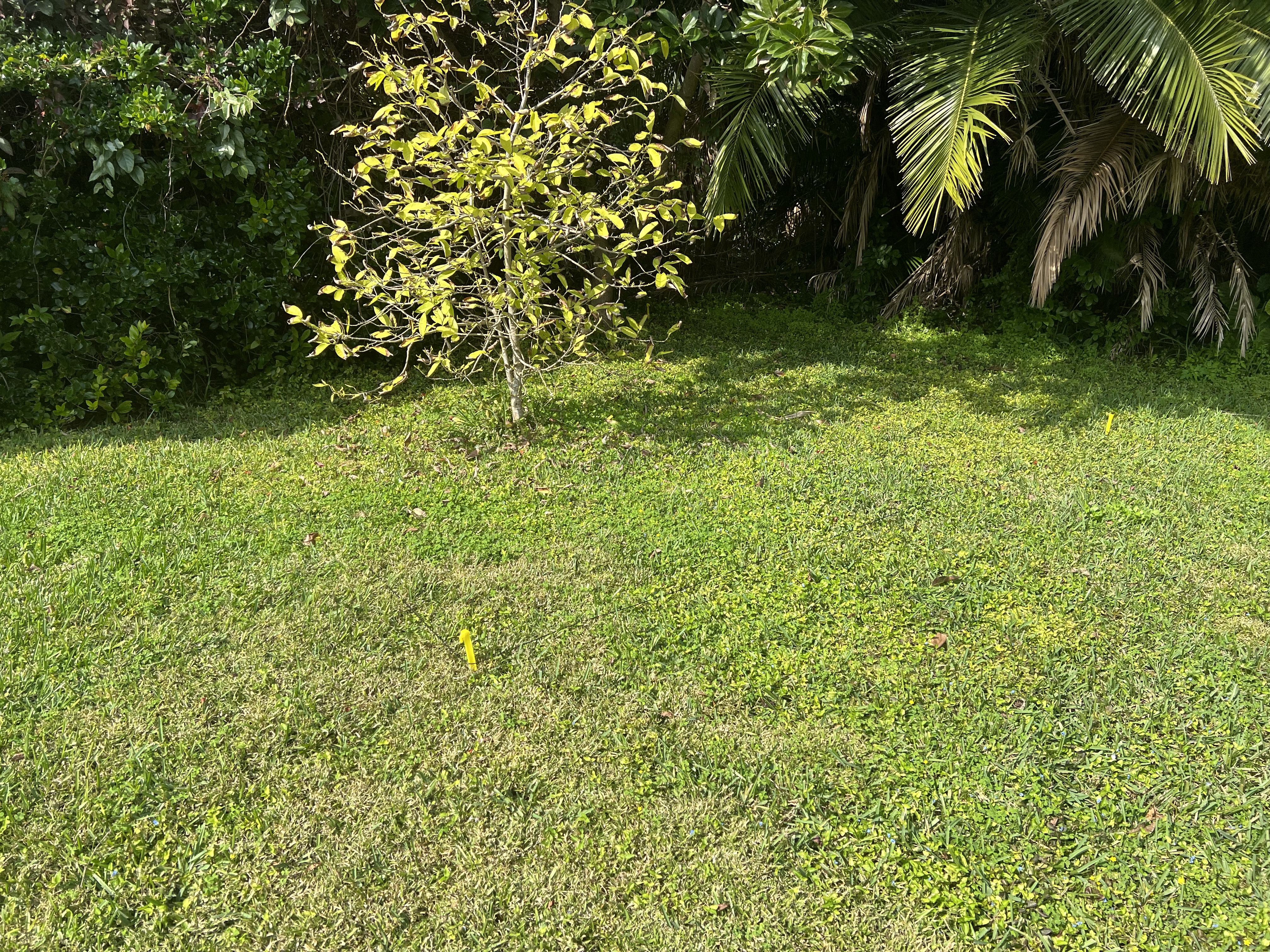 Loop on Ground RX antenna